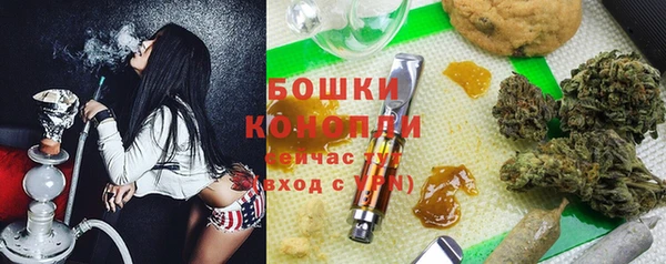 ПСИЛОЦИБИНОВЫЕ ГРИБЫ Балахна