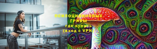 гашик Балабаново