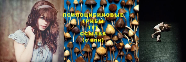 ПСИЛОЦИБИНОВЫЕ ГРИБЫ Балахна