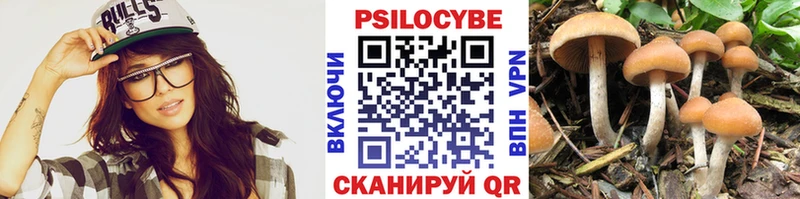 как найти   Гороховец  Псилоцибиновые грибы Cubensis 